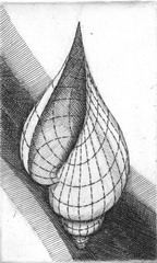 Patrice Jeener